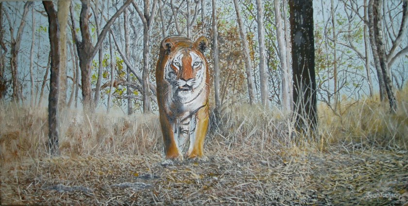 On the Prowl W 51cm H 25cm D 3.5cm Oil on Canvas $350