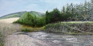 Aniseed Valley, Oil on Canvas  910mmWX450mmH $950